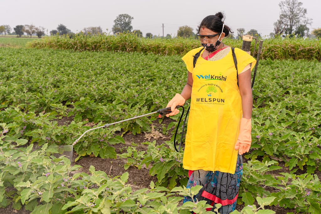 South Asian woman in protective gear spraying pesticides on crops in an Indian farm field.